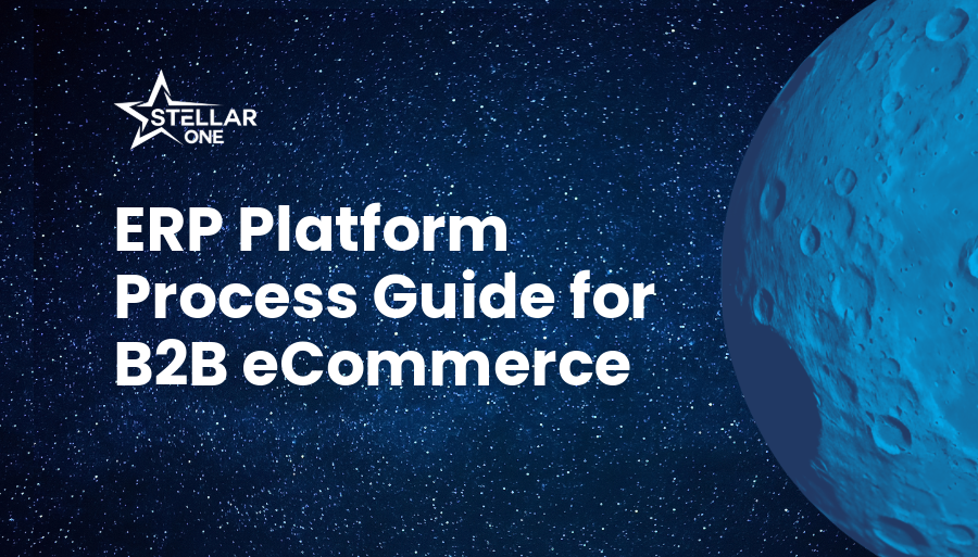 ERP Platform Process Guide for B2B eCommerce