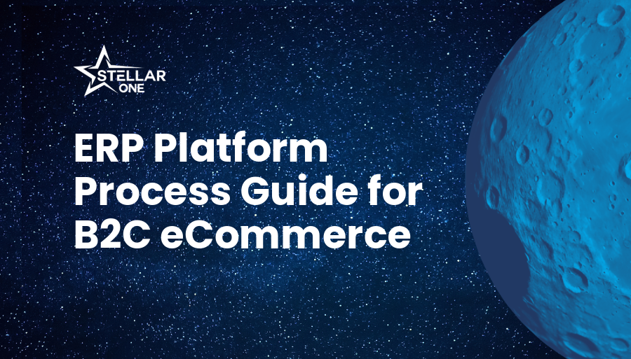 ERP Platform Process Guide for B2C eCommerce