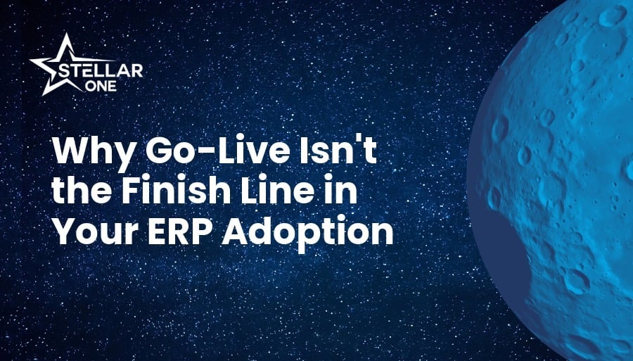 Why Go-Live Isn't the Finish Line in Your ERP Adoption