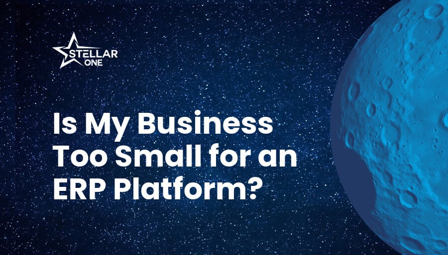 Is My Business Too Small for an ERP Platform?