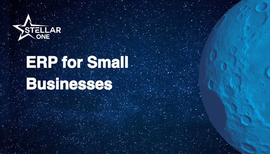 ERP for Small Businesses