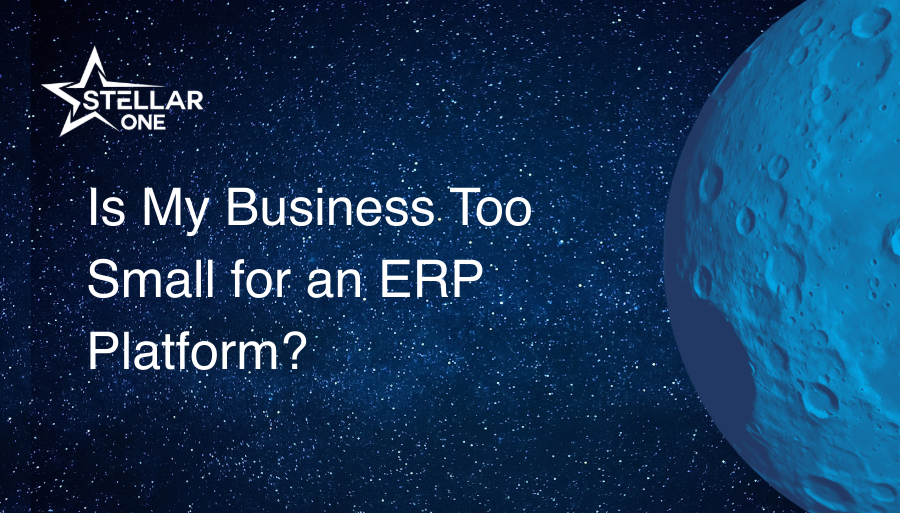 Is My Business Too Small for an ERP Platform?