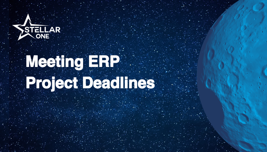 Meeting ERP Project Deadlines