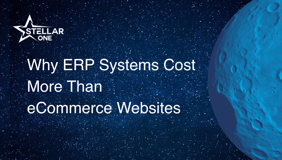 Why ERP Systems Cost More Than eCommerce Websites